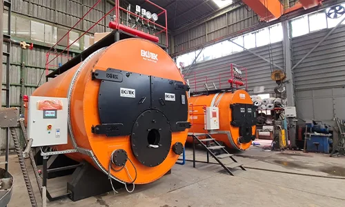 Storm Series 125 M² and 50 M² Steam Boiler Exports to Bulgaria