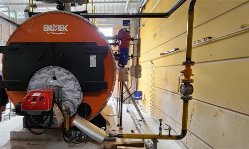 Caldera de Vapor Serie Fırtına – Effeffe Pet Productos y Alimentos para Mascotas S.A., Manisa