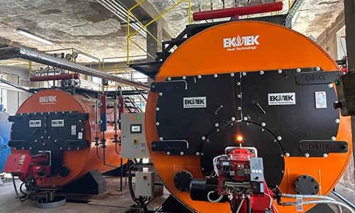 Storm Series 125 m² and 50 m² Steam Boiler for Bulgaria